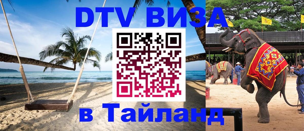 Сколько стоит DTV виза — актуальные цены, оформление даже без документов - Санкт-Петербург  21.11.2025 